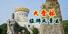 日骚逼av中国浙江-绍兴大香林旅游风景区
